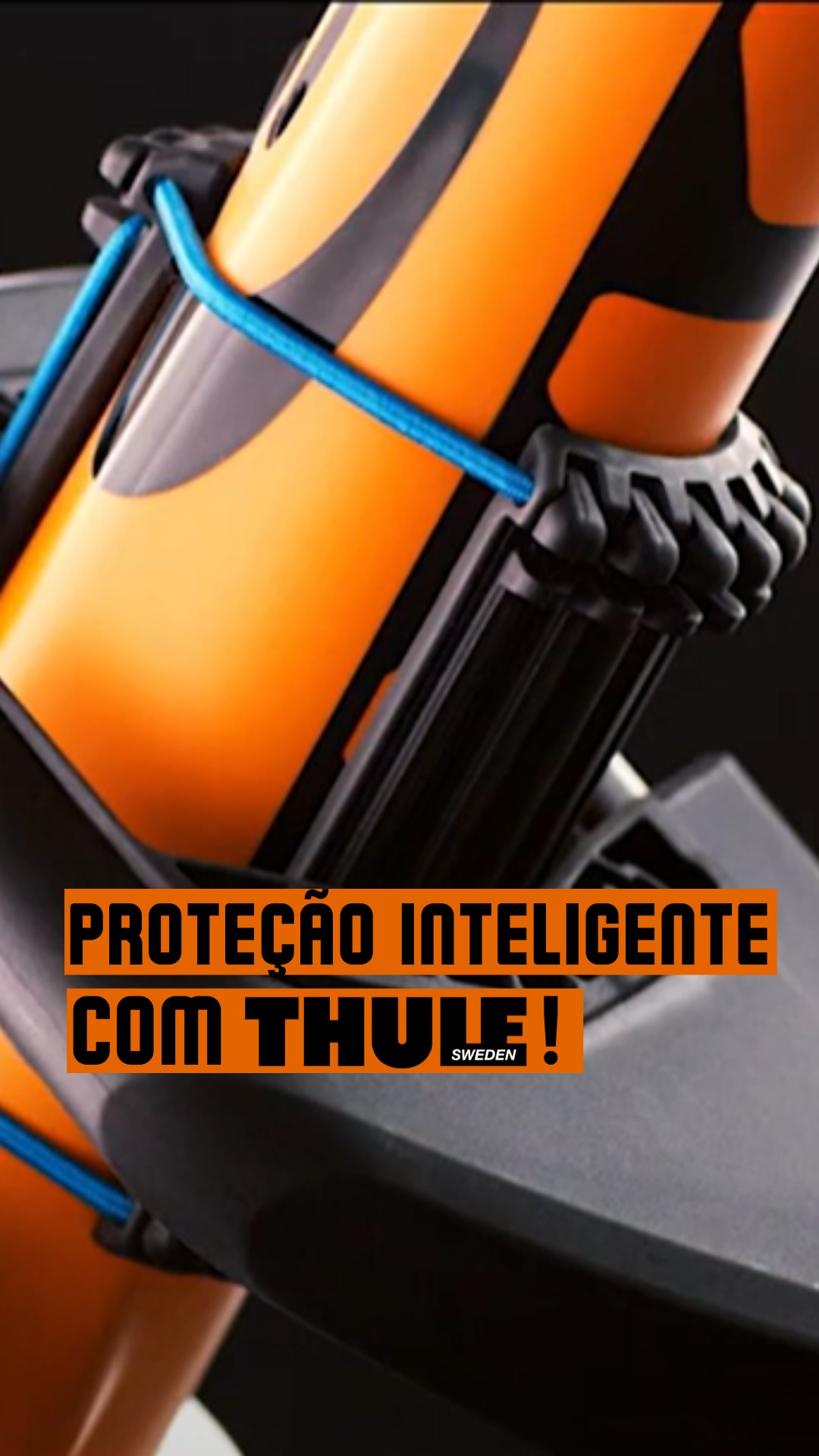 643044869 18174075223384729 9184312374963660598 n